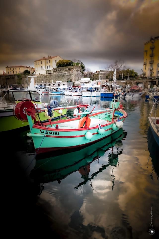 Ajaccio (Aiacciu) 1 photographie ajaccio dominique albetrina