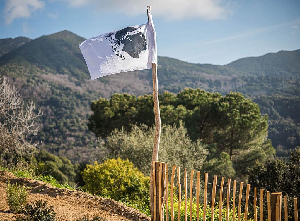 drapeau corse maquis