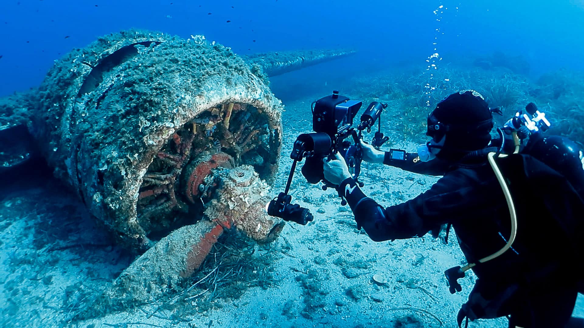 stephan le gallais photographe fonds marins corse